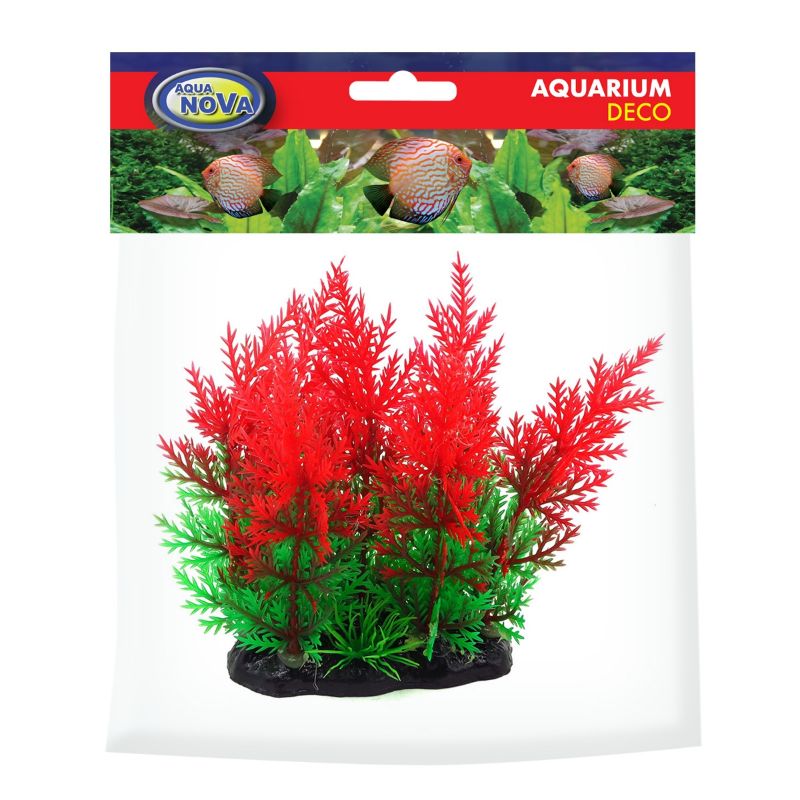 AQUA NOVA plastikinis augalas žalia/raudona 13cm